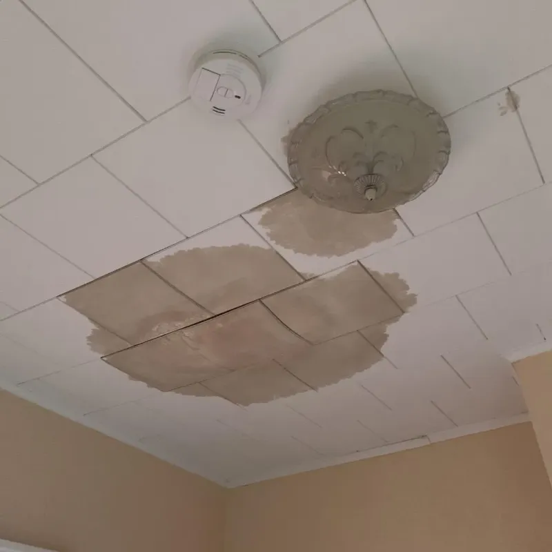 Ceiling Water Damage Repair in Berlin, NH