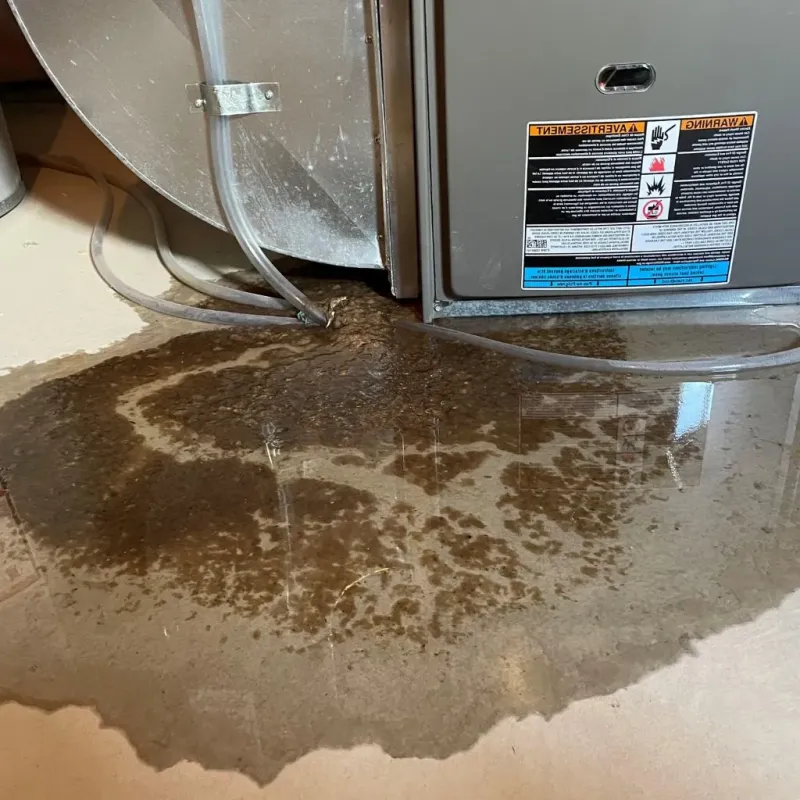 Pipe Burst and Leak Restoration in Berlin, NH